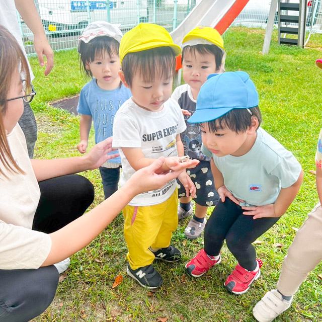 お散歩